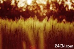 人行道尽头在哪里?